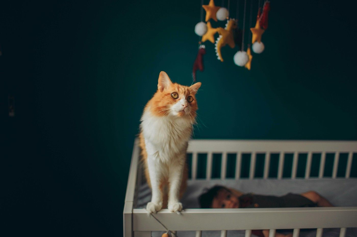 Familiariza a tu gato con los sonidos del bebé