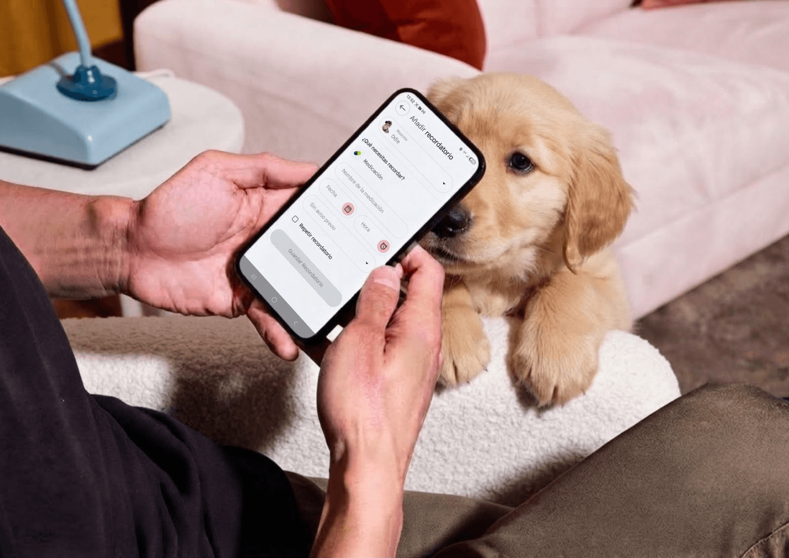 La app de Musky ya es gratis para todos los pet parents: cuidar de tu perro o gato desde el móvil
