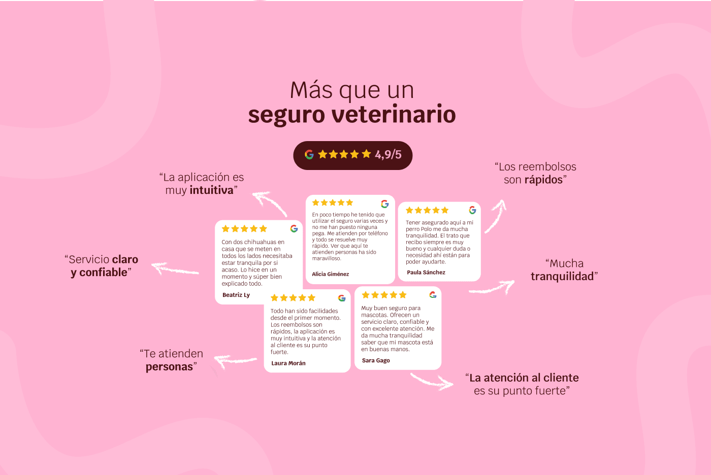 Musky alcanza un 4,9 en Google: uno de los seguros veterinarios mejor valorados en España