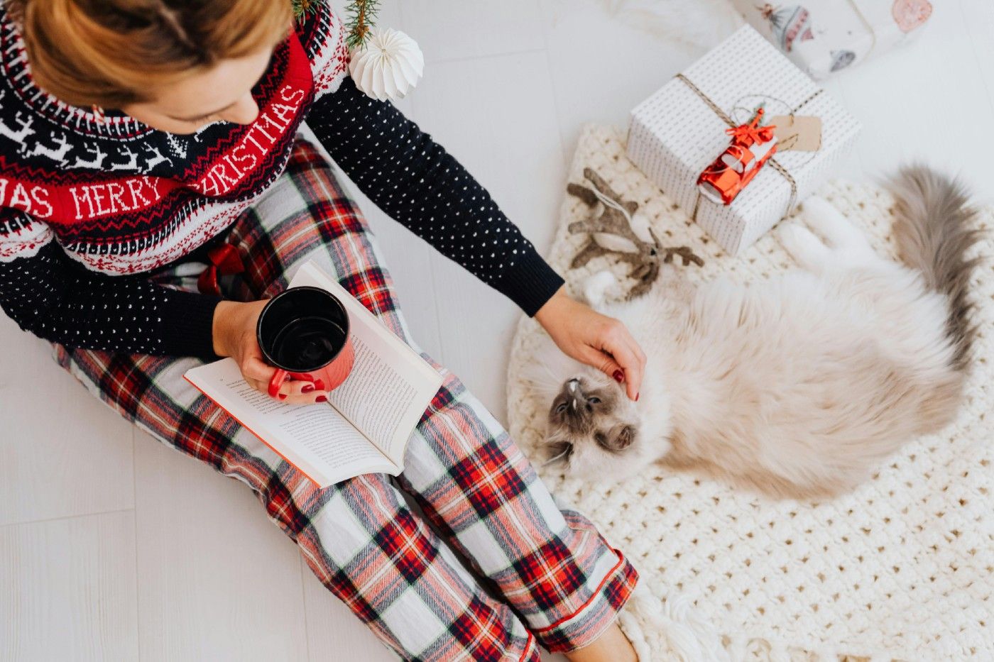 La Navidad no es el mejor momento para decidir convivir con una mascota