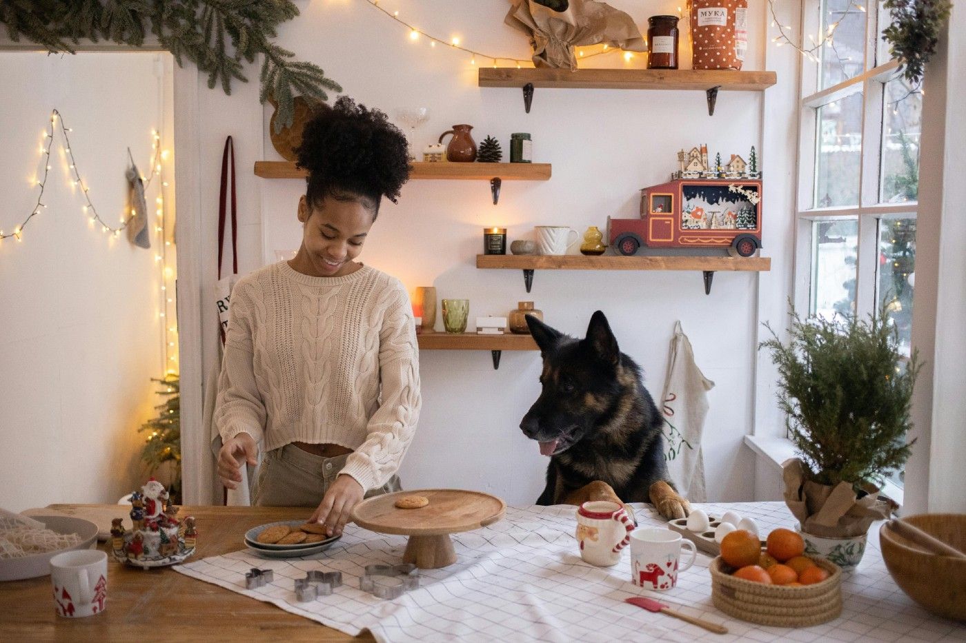 El chocolate contiene teobromina, una sustancia tóxica para perros y gatos