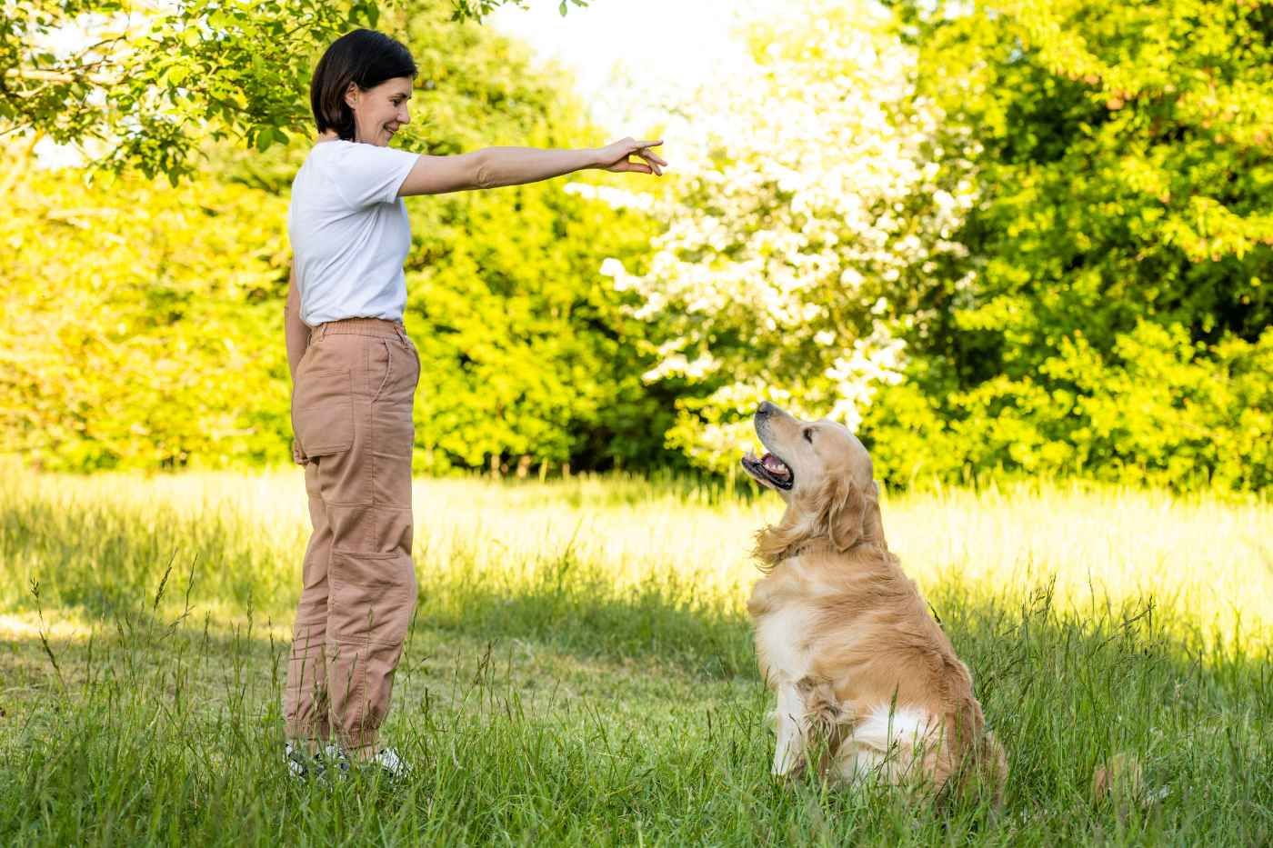 La importancia del refuerzo positivo al adiestrar a un perro