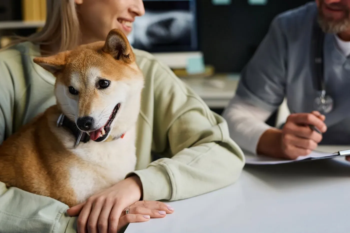 ¿Cuánto cuesta un seguro para perros? Guía de precios