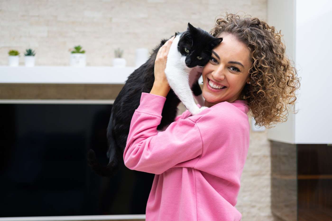 ¿Cuánto vive un gato casero? Esperanza de vida, factores y cuidados esenciales