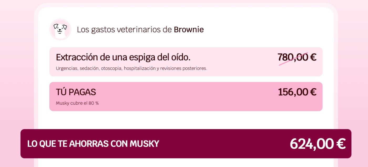 ejemplo-gastos-veterinarios-urgencias.jpg