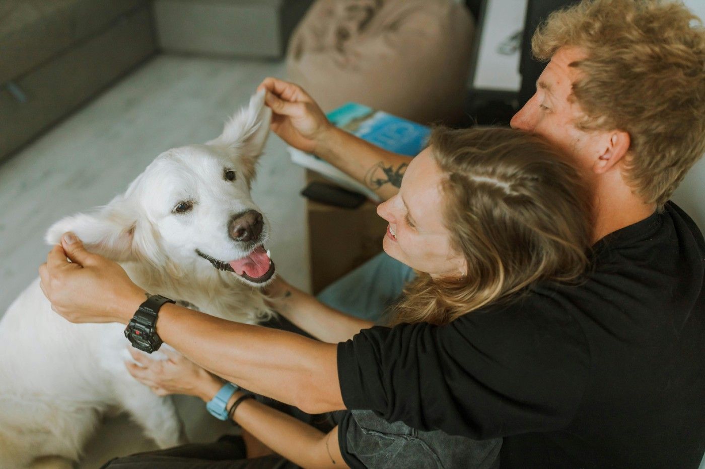 Cada vez más personas consideran a sus mascotas parte de la familia y buscan integrarlas en su día a día