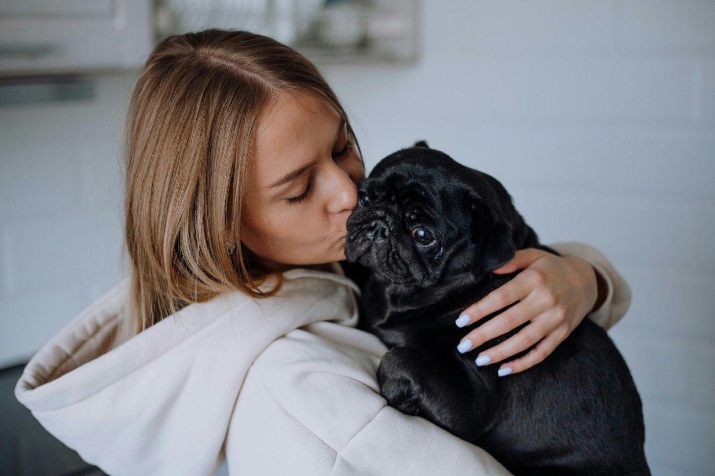 Premia cuando tu perro se comporta correctamente, incluso si es algo pequeño