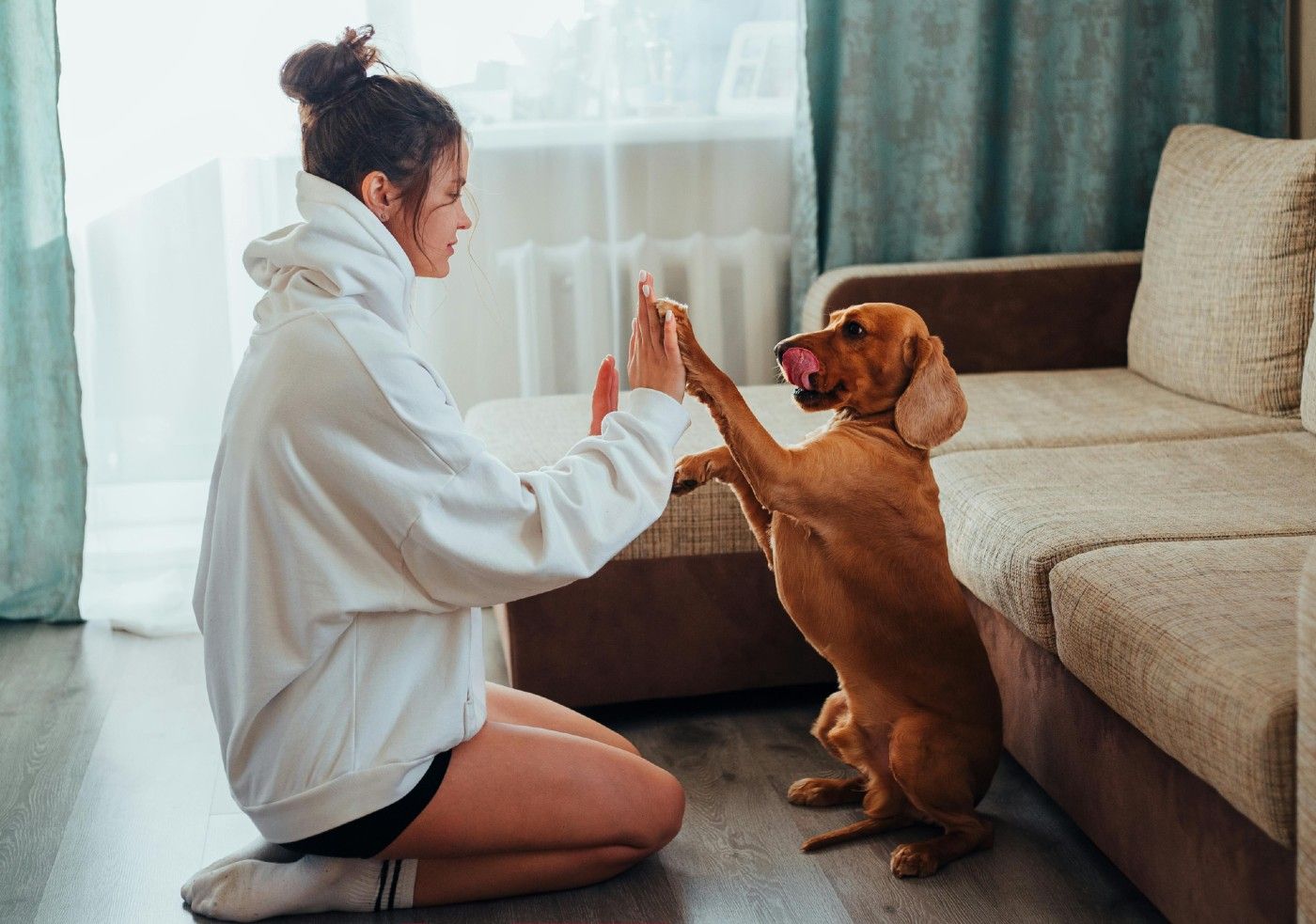 El lenguaje positivo refuerza el bienestar emocional de los perros