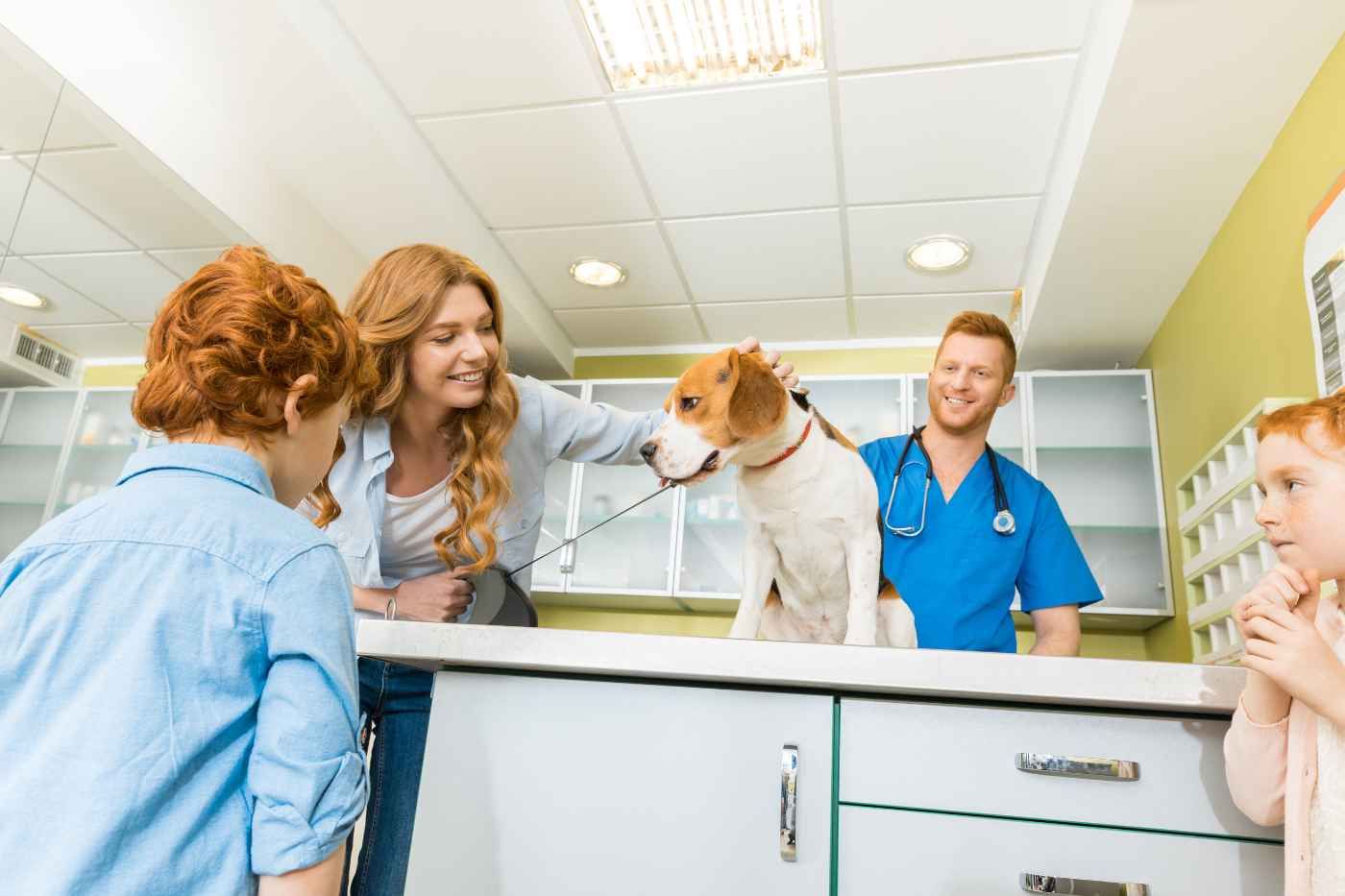 Mejores veterinarios en Málaga: clínicas, hospitales 24h y centros mejor valorados