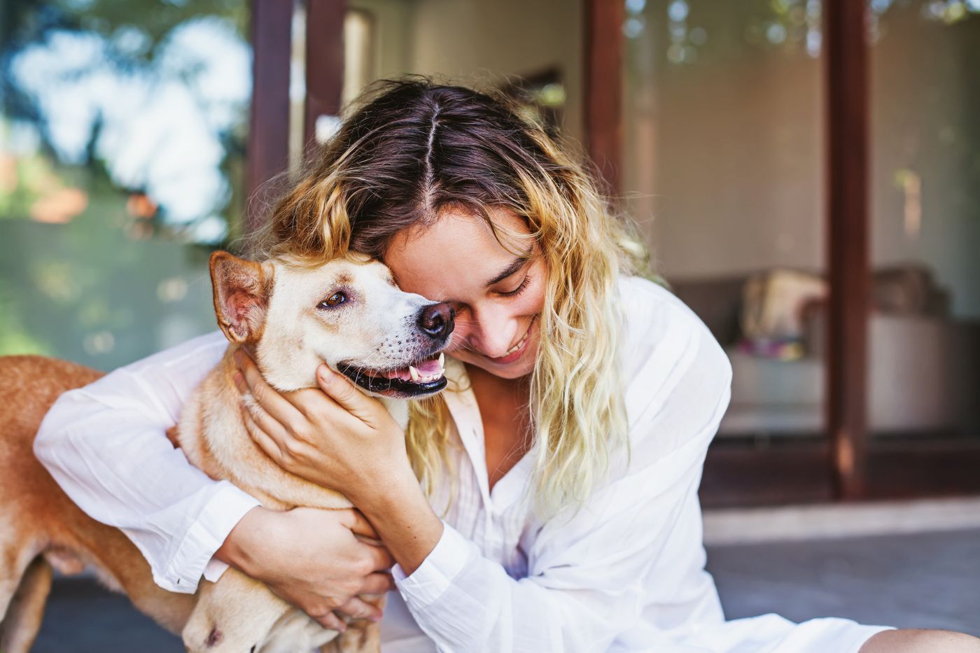 Mejor seguro veterinario para perros: cómo elegir el más adecuado