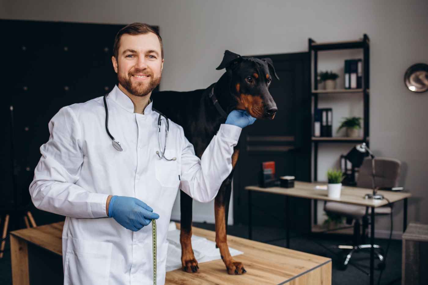 Mejores veterinarios en Badajoz: clínicas recomendadas en la capital y la provincia