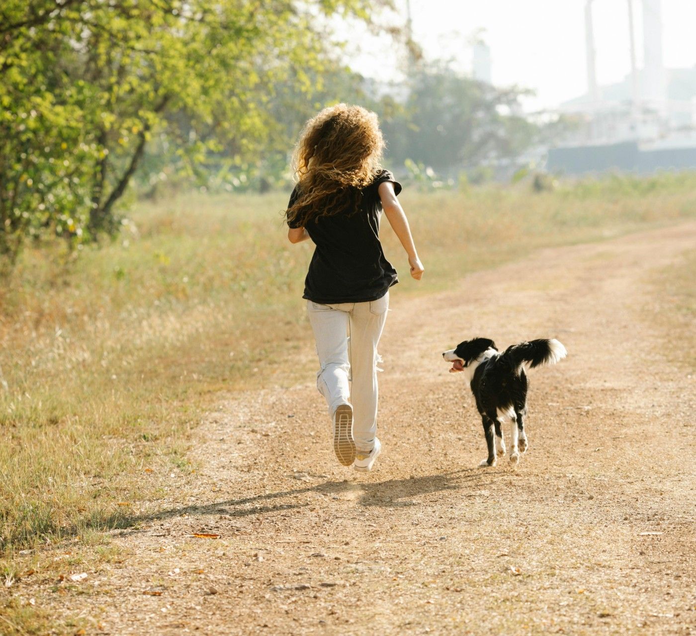 Pet parent de paseo con su mascota