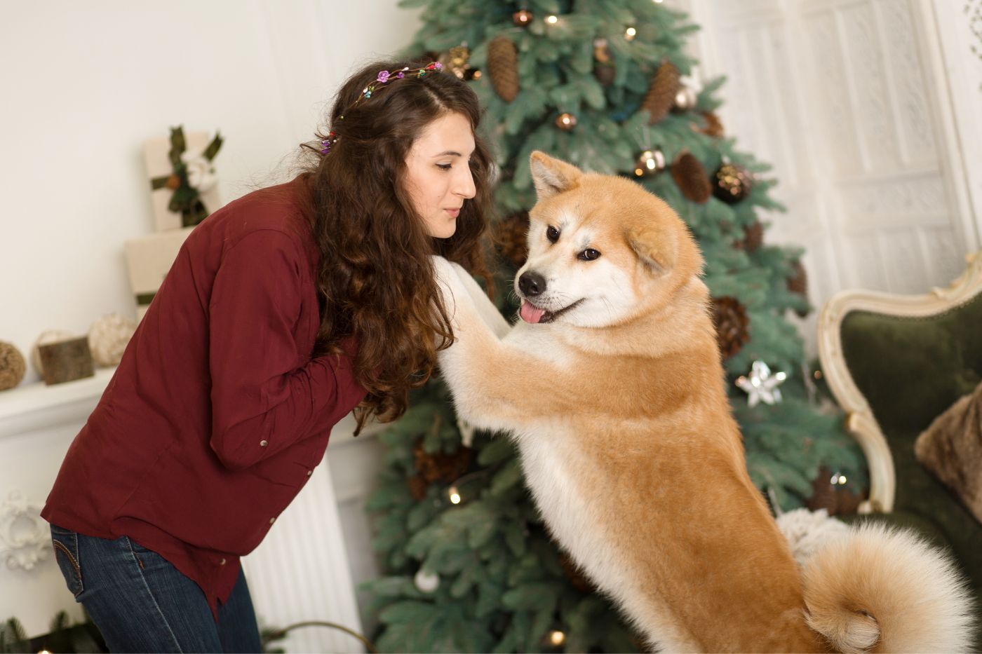 Mejores regalos para amantes de los perros en Navidad