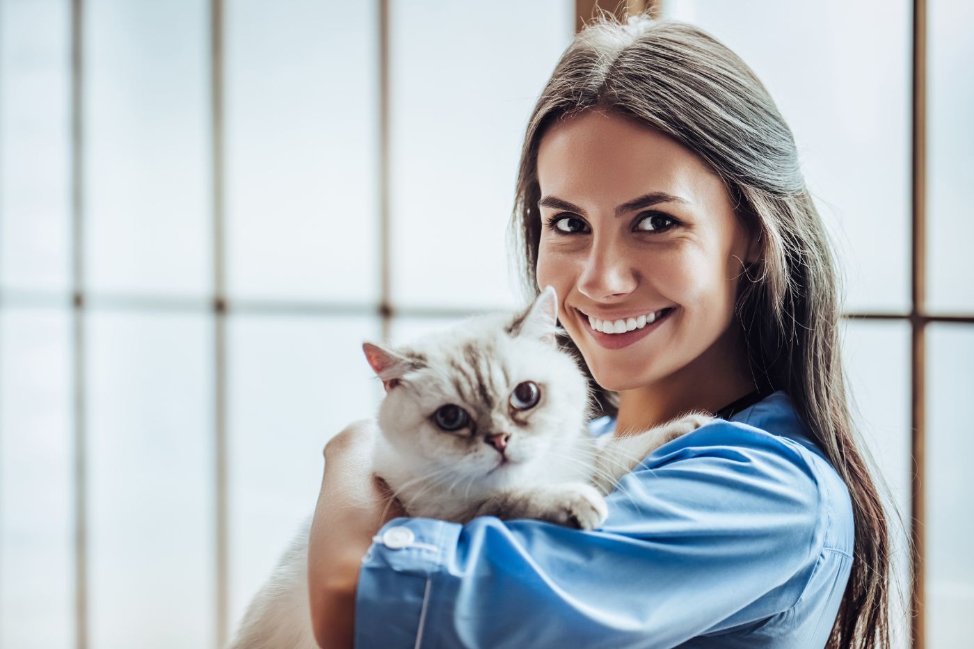 La importancia en la prevención de un seguro de salud para mascotas