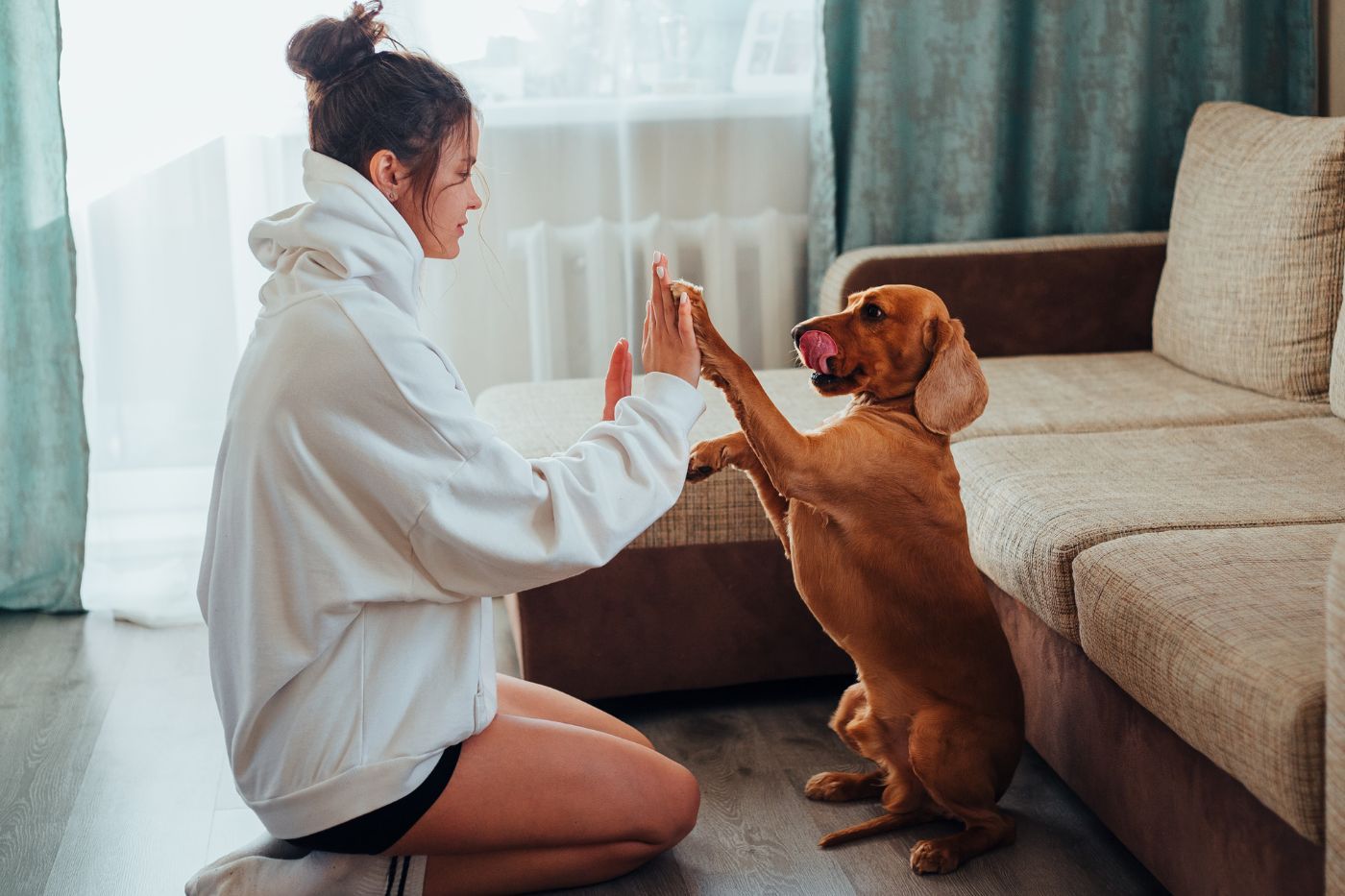 ¿Cómo saber cuándo tu mascota tiene alergia?